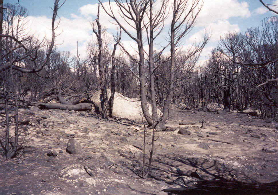 wind_river_022.jpg 192.2K