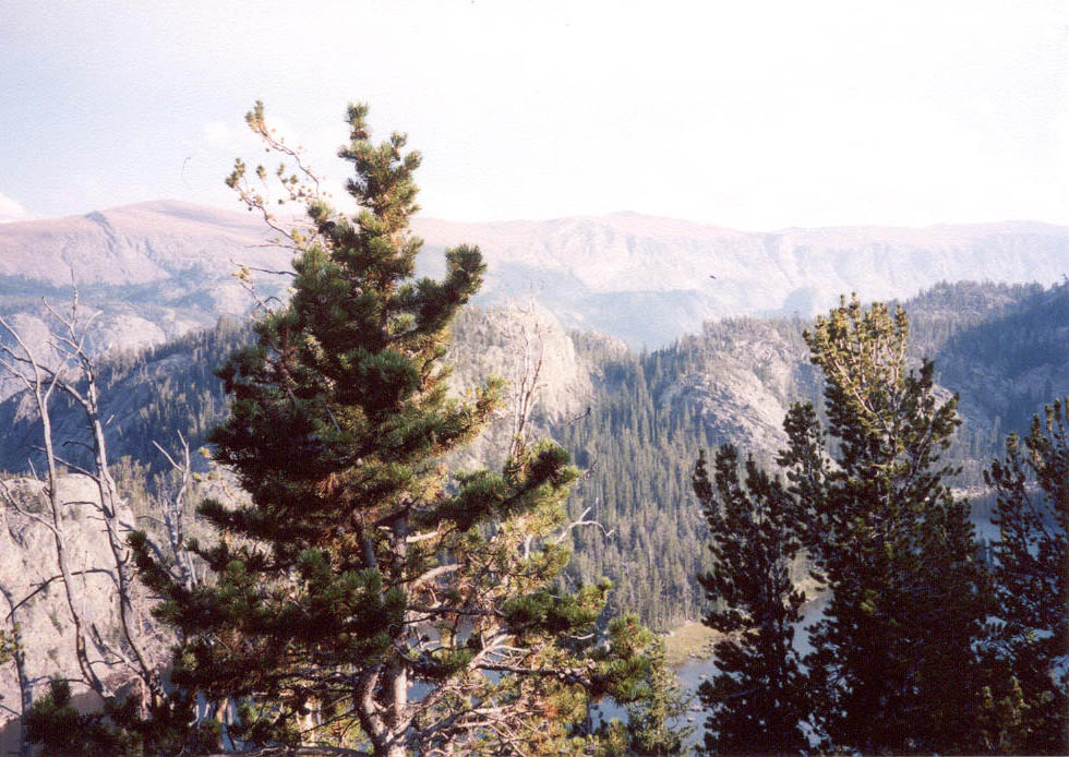 wind_river_027.jpg 160.3K